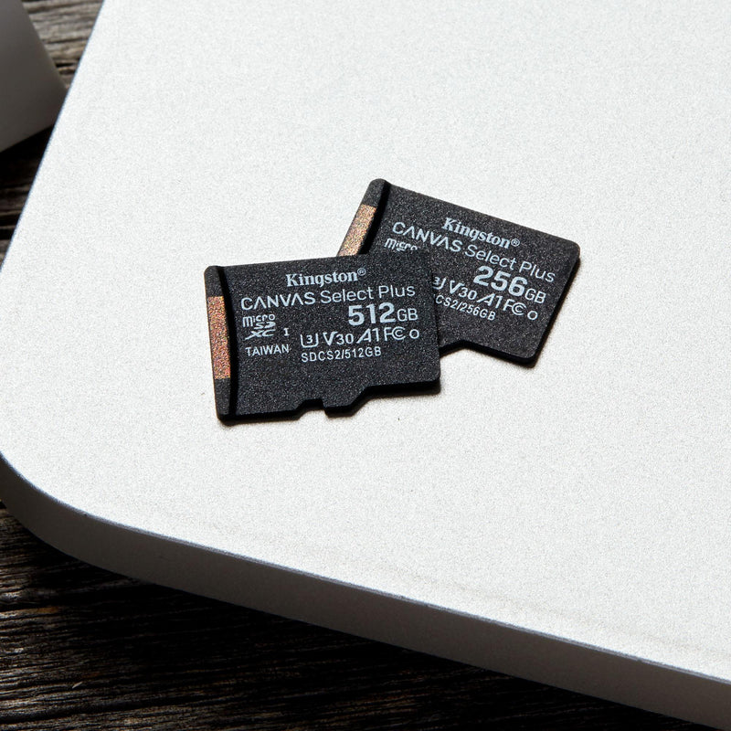 KINGSTON Scheda Di Memoria MicroSDXC 256 GB Canvas Go Plus Gen4 200R A2 U3 Velocit Lettura 200 Mbs Scrittura 160 Mbs Classe 10 Uhs V30 Sdcg4256gbsp P 444524 KINGSTON Scheda Di Memoria MicroSDXC 256 GB Canvas Go Plus Gen4 200R A2 U3 Velocit Lettura 200 Mbs Scrittura 160 Mbs Classe 10 Uhs V30 Sdcg4256gbsp P 444524